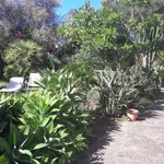 Rent 4 bedroom house of 100 m² in Milazzo