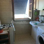 Rent 1 bedroom apartment of 25 m² in Rome