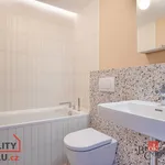 Rent 3 bedroom apartment in České Budějovice