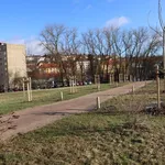 Rent 1 bedroom apartment of 36 m² in Sokolov