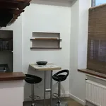 Rent 1 bedroom apartment of 21 m² in Lesquin