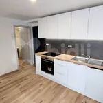 Rent 1 bedroom apartment in Brno