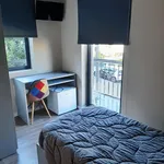 Rent 20 bedroom apartment in Porto