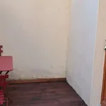 Rent 1 bedroom apartment of 26 m² in Lyon