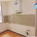 Rent 1 bedroom apartment of 50 m² in Pesaro