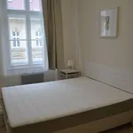 Rent 3 bedroom apartment of 80 m² in Prague