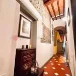 Rent 3 bedroom apartment of 89 m² in Florence