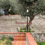 Rent 2 bedroom house of 150 m² in Trabia