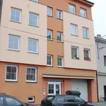 Rent 1 bedroom apartment of 20 m² in Pilsen