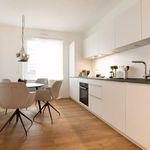 Rent 4 bedroom apartment of 94 m² in Dusseldorf