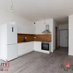 Pronajměte si 1 ložnic/e byt o rozloze 29 m² v Pilsen