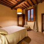 Rent 1 bedroom apartment in Florence