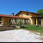 Rent 7 bedroom house of 150 m² in Pietrasanta