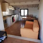 Rent 2 bedroom apartment of 50 m² in Siena