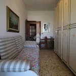 Rent 3 bedroom apartment of 110 m² in Brindisi