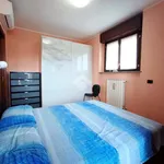 Rent 2 bedroom apartment of 58 m² in Legnano