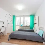 Rent 3 bedroom apartment in warsaw