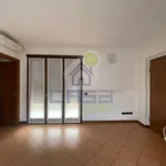 Rent 2 bedroom apartment of 60 m² in Cremona