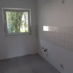 Rent 4 bedroom apartment of 65 m² in Gelsenkirchen