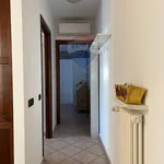 Rent 2 bedroom apartment of 60 m² in Reggio nell'Emilia