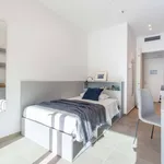 Rent 1 bedroom apartment of 21 m² in Firenze