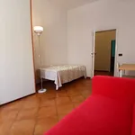 Rent 4 bedroom apartment of 80 m² in Firenze