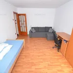 Rent 1 bedroom apartment of 35 m² in Timisoara