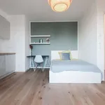 Rent a room in berlin