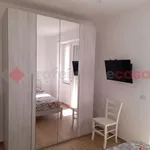 Rent 4 bedroom apartment of 60 m² in Frosinone