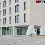 Rent 1 bedroom apartment of 35 m² in Brno