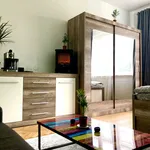 Rent 1 bedroom apartment of 32 m² in Prague