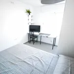 Rent 4 bedroom apartment in Valencia