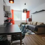 Rent 2 bedroom apartment of 44 m² in Capital City of Prague