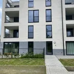 Prachtig nieuwbouwappartement met 2 slaapkamers en terras