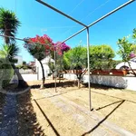 Rent 3 bedroom house of 70 m² in Ardea