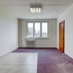 Rent 1 bedroom apartment in Plzeň