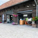 Huur 3 slaapkamer huis van 1590 m² in Bazel