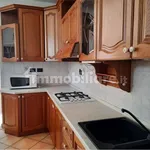 Rent 4 bedroom house of 120 m² in Padua