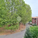 Rent 3 bedroom apartment of 85 m² in Busto Arsizio