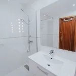 Alquilo 5 dormitorio apartamento de 15 m² en Madrid