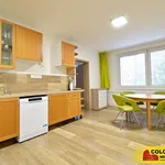 Rent 3 bedroom apartment of 58 m² in Brno