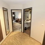 Rent 2 bedroom apartment of 52 m² in Leipzig