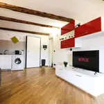 Rent 2 bedroom apartment of 55 m² in Turin