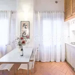 Rent 1 bedroom apartment of 35 m² in Firenze