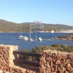 Rent 2 bedroom apartment of 50 m² in Olbia