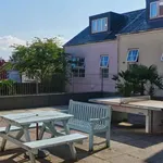 Rent 1 bedroom flat in Exeter