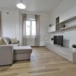 Rent 1 bedroom apartment in vicenza