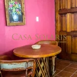 Rent 1 bedroom apartment in Guanajuato