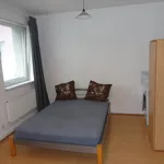 Pronajměte si 1 ložnic/e byt o rozloze 28 m² v  ulice Cejl