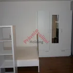 Rent 1 bedroom apartment of 30 m² in Pardubice